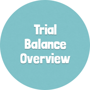 Trial Balance Overview